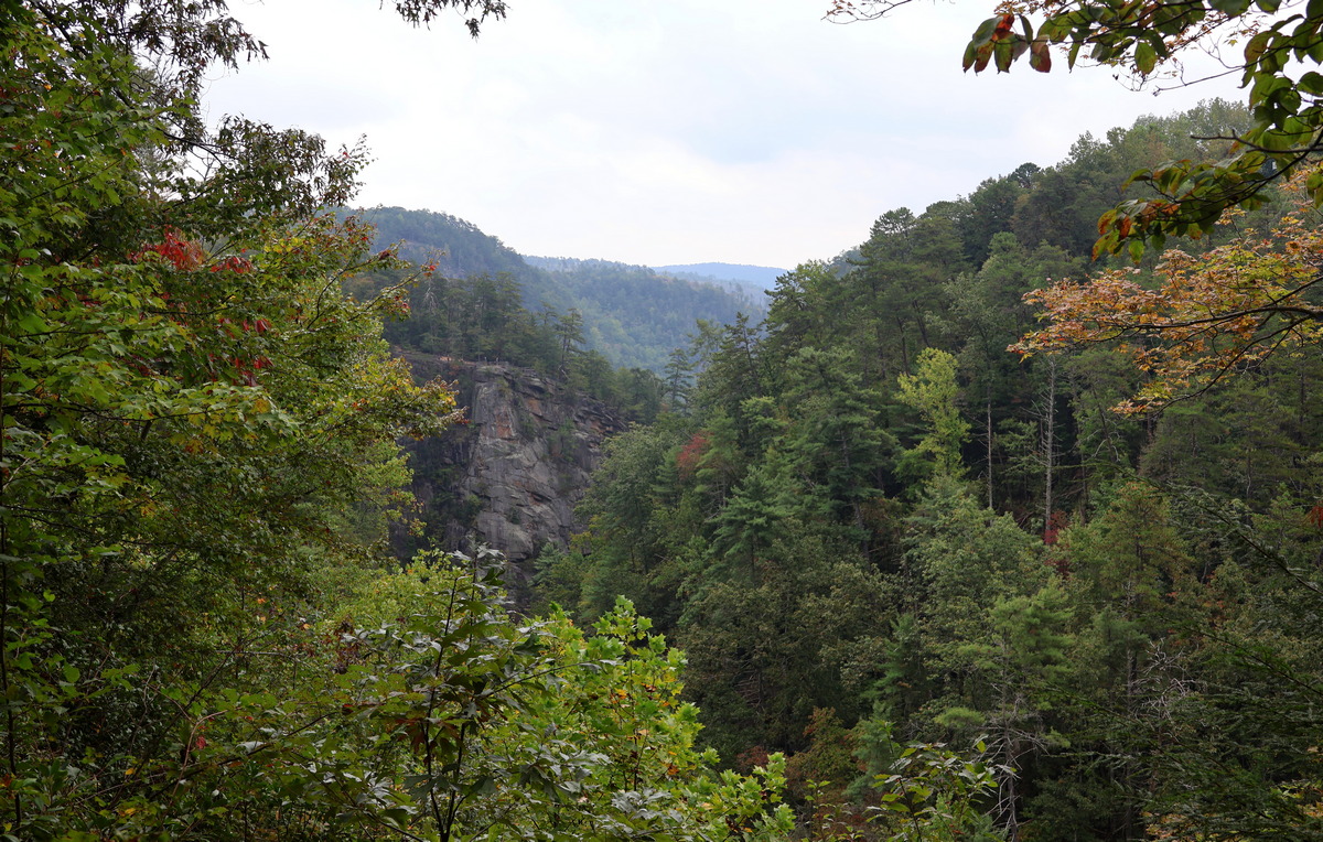 The Appalachians of Georgia